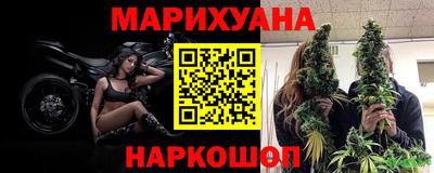 каннабис Кингисепп