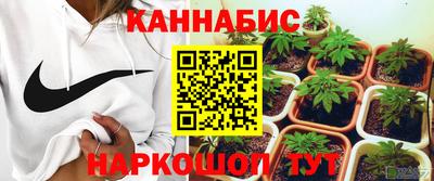 каннабис Кингисепп