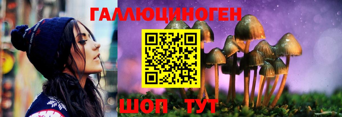 Псилоцибиновые грибы Psilocybine cubensis Всеволожск
